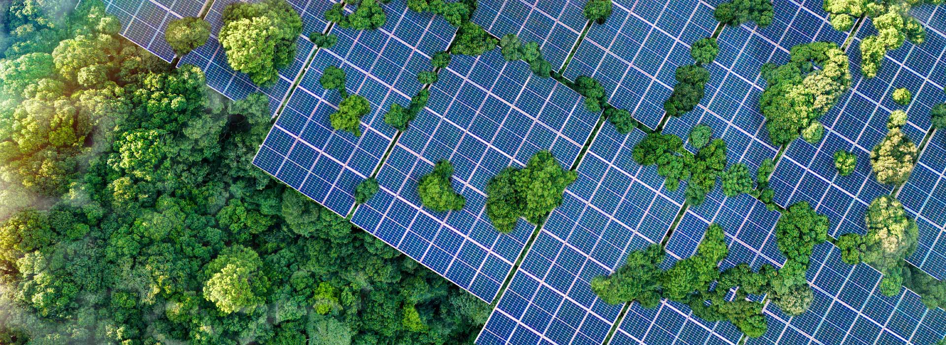 BOULING CHEMICAL CO.,LIMITED